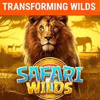 Safari Wilds